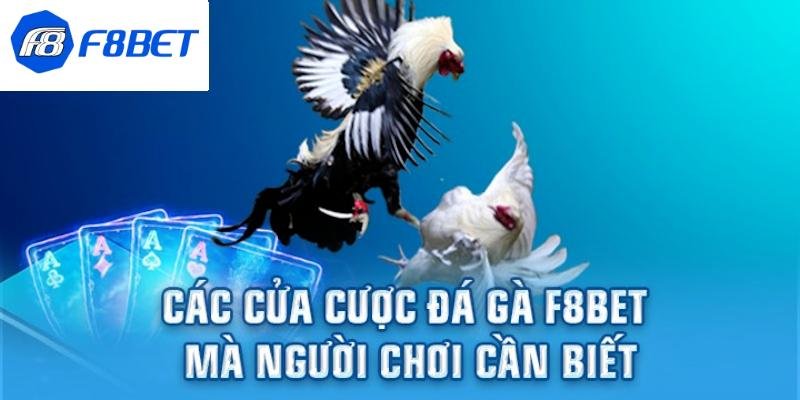 Đa dạng các hình thức cược đá gà F8BET để đưa ra lựa chọn