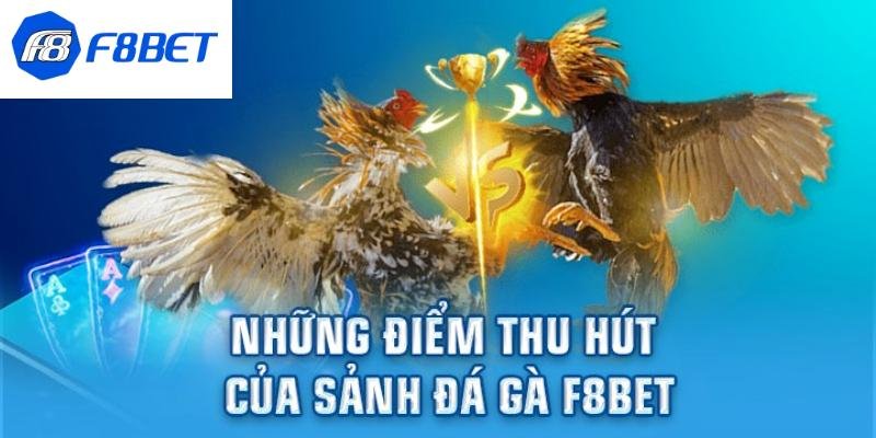 Nhiều lý do cần chọn chơi đá gà F8BET